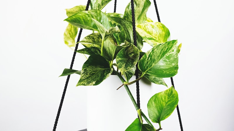 欧冠联赛最新战报分析与球队战术解读